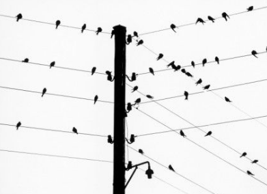 Desde El Poste Caliente